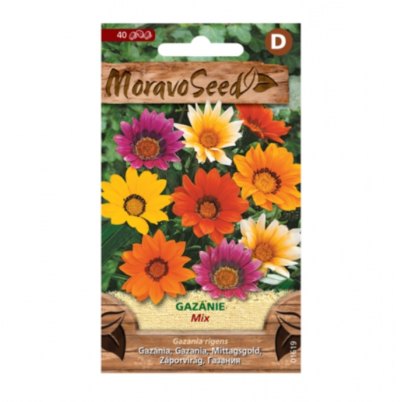 Gazánie zářivá, směs 01619