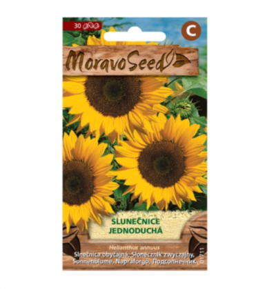 Slunečnice roční jednoduchá, žlutá 01711