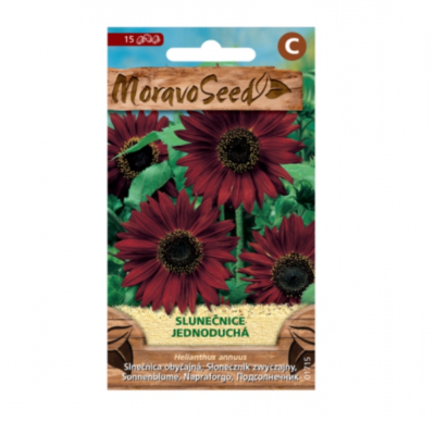 Slunečnice roční jednoduchá, červená 01715