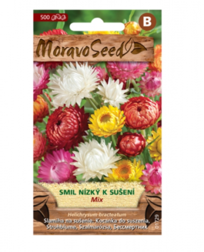 Smil listenatý nízký k sušení, směs 01729