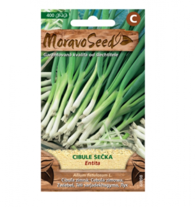 Cibule zimní ENTITA, sečka 60898