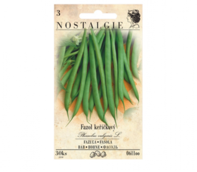 Fazol keříčkový, zelený