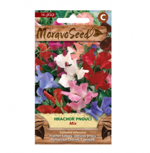 Hrachor vonný pnoucí, směs 02319