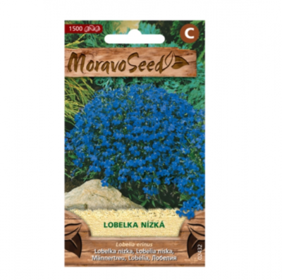 Lobelka drobná nízká, modrá 02432