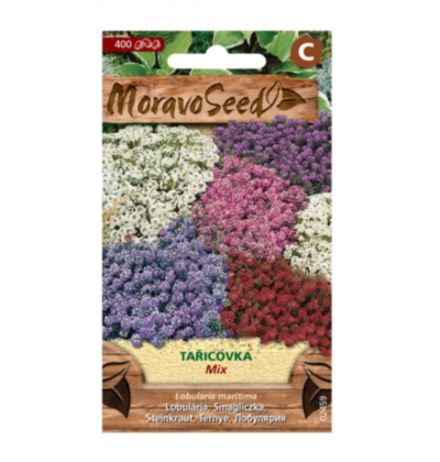 Tařicovka přímořská, směs 02459