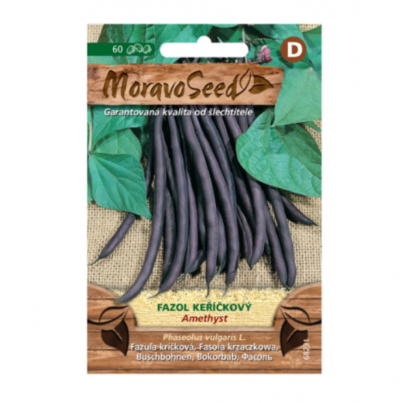 Fazol keříčkový AMETHYST, fialový 68231