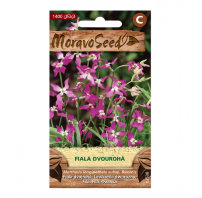 Fiala dvourohá, fialová 02530