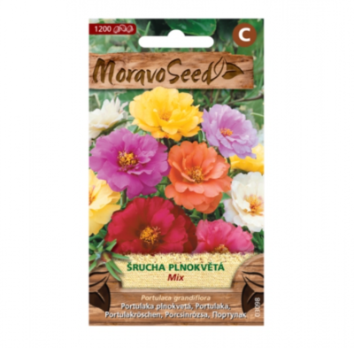 Šrucha velkokvětá plnokvětá, směs 03098