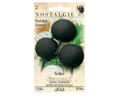 Ředkev KULATÁ ČERNÁ
