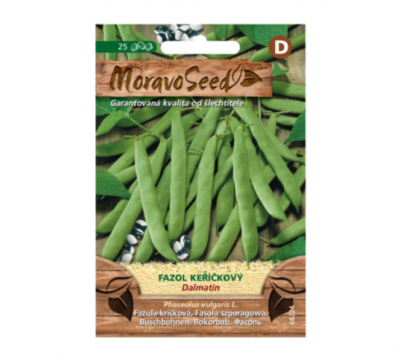 Fazol keříčkový DALMATIN, zelený 68224