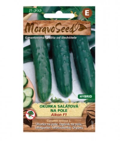 Okurka salátová AIKON F1 - hybrid, na pole 64107