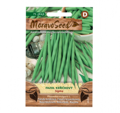 Fazol keříčkový, zelený 68223