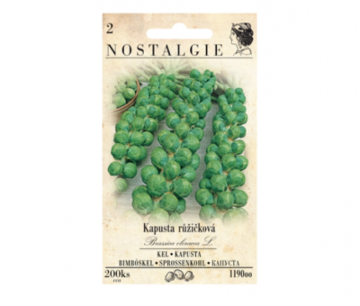 Kapusta růžičková