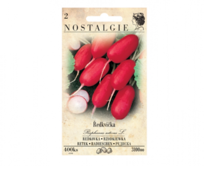 Ředkvička válcovitá, červená