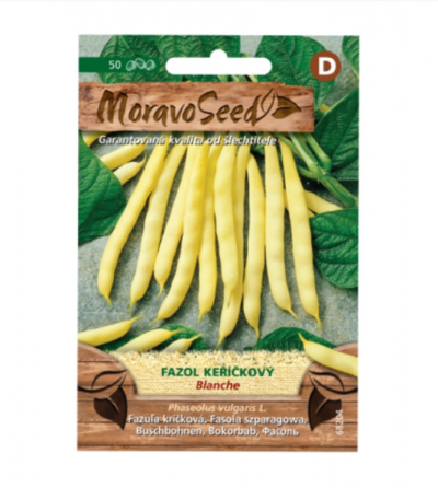 Fazol keříčkový BLANCHE, žlutý 68204