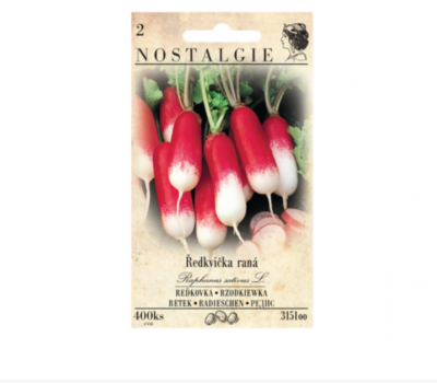 Ředkvička SLAVIA, válcovitá červenobílá