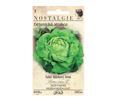 Salát hlávkový letní DĚTENICKÁ ATRAKCE