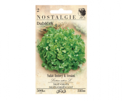 Salát listový k česání zelený DUBÁČEK