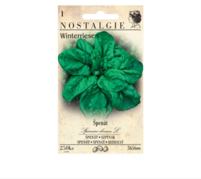 Špenát setý WINTERRIESEN