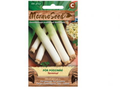 Pór podzimní TERMINAL 65104