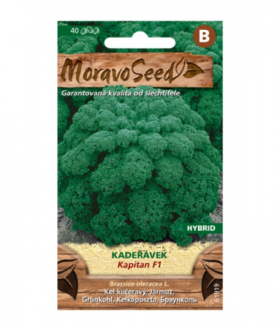 Kadeřávek KAPITAL F1 - hybrid, zelený 61919