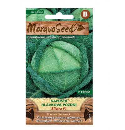 Kapusta hlávková pozdní BLISTRA F1 - hybrid 62057