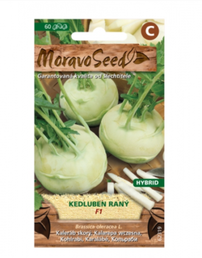 Kedluben raný KORFU F1 - hybrid, bílý 62319