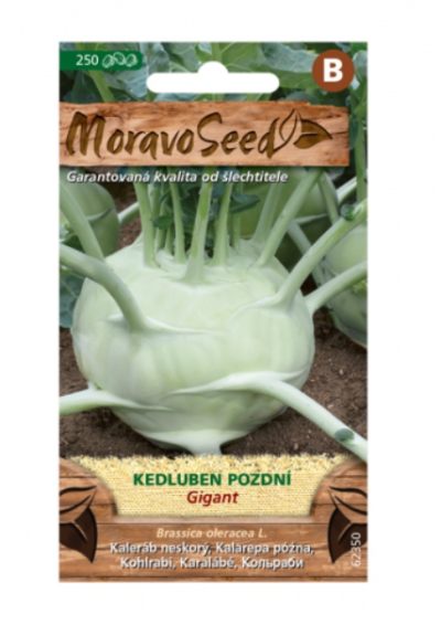 Kedluben pozdní GIGANT, bílý 62350