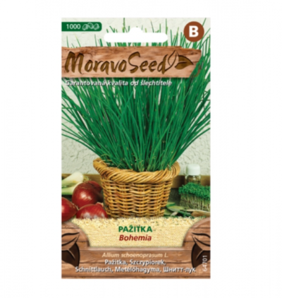 Pažitka BOHEMIA 64701