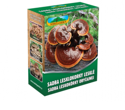 Lesklokorka lesklá 250ml