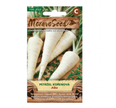 Petržel kořenová ALBA 64903