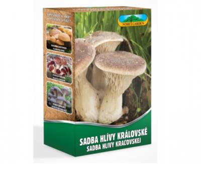 Hlíva královská máčková 250ml