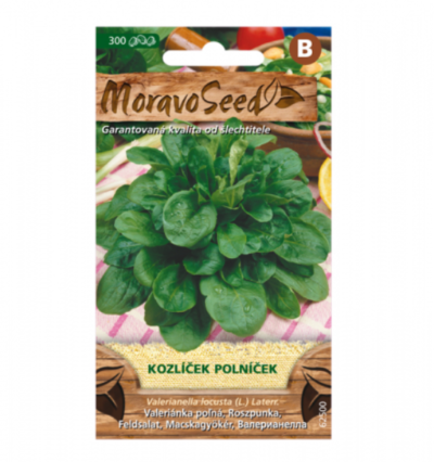 Kozlíček polníček 62500