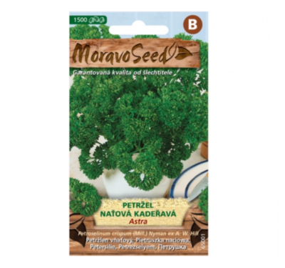 Petržel naťová kadeřavá ASTRA 65001