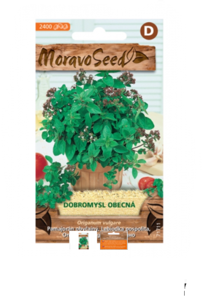 Dobromysl obecná - oregano