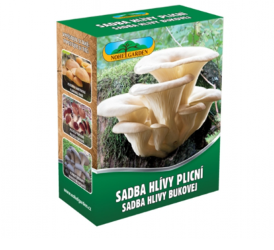 Hlíva plicní 250ml