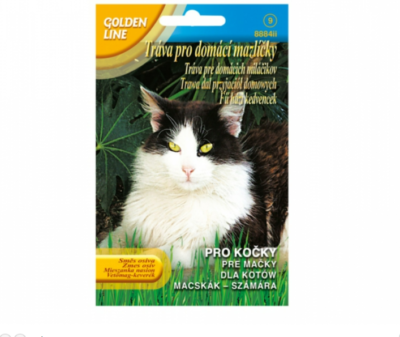 Tráva PICCOLI AMICI pro kočky