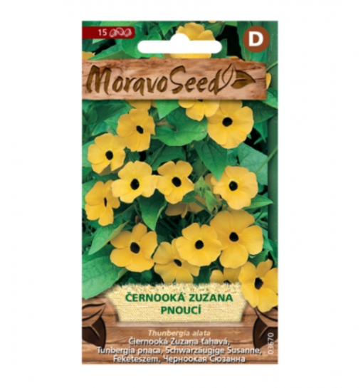 Černooká Zuzana pnoucí, žlutá 03670