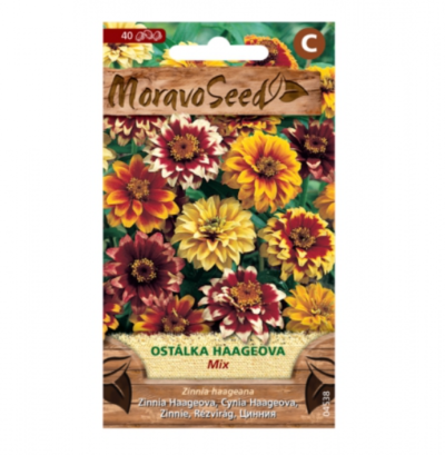 Ostálka Haageova, směs 04538