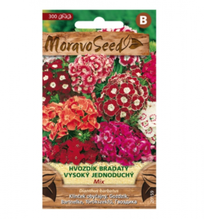 Hvozdík bradatý vysoký jednoduchý, směs 20159