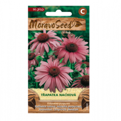 Třapatka nachová, fialová 30800