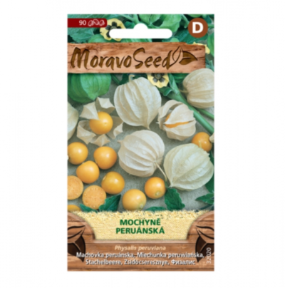 Mochyně peruánská, žlutá 32020