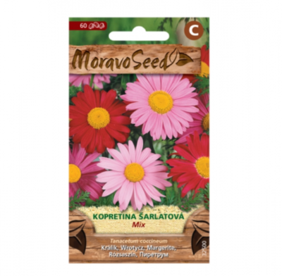 Kopretina šarlatová, směs 32500