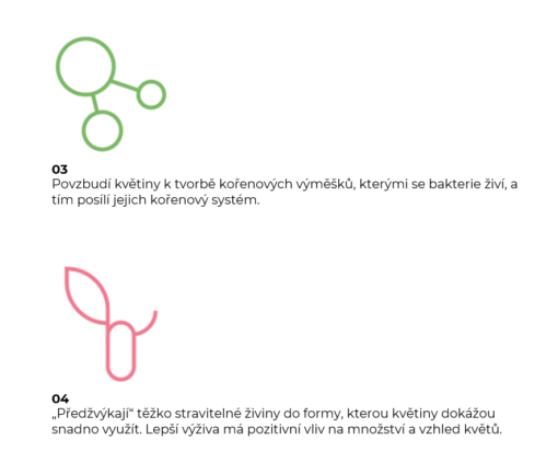 Probiotika pro květiny 250ml - Image 4