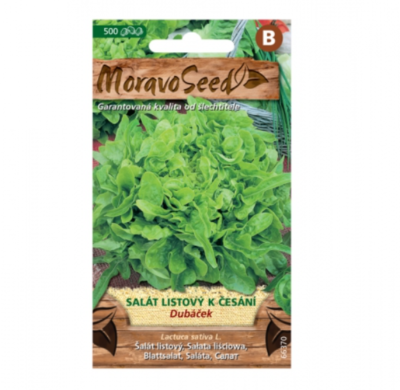 Salát listový k česání DUBÁČEK, zelený 66370