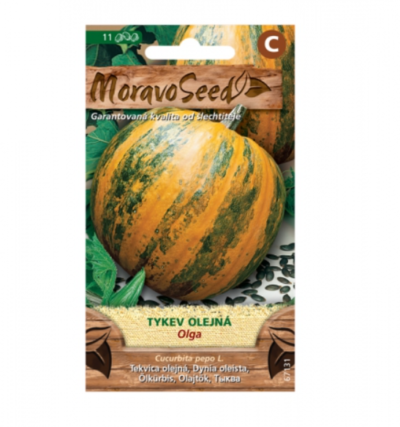 Tykev olejná OLGA 67131
