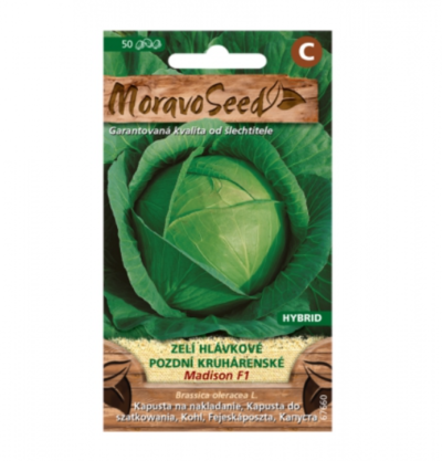 Zelí hlávkové pozdní MADISON F1 - hybrid, krouhárenské 67660