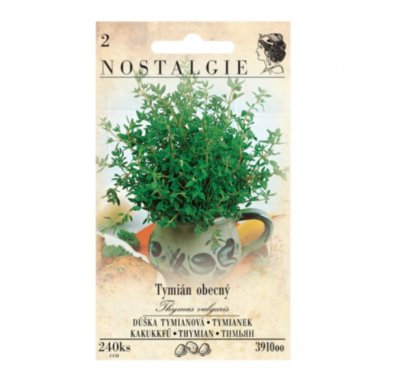 Tymián obecný