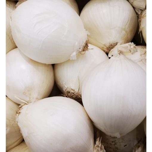 Cibule sazečka SNOWBALL 250g