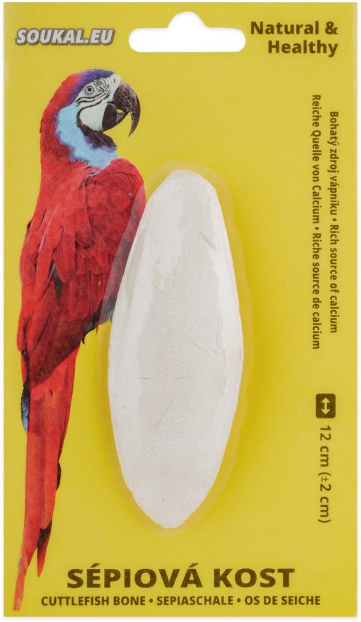 Sépiová kost na kartě - 12 cm